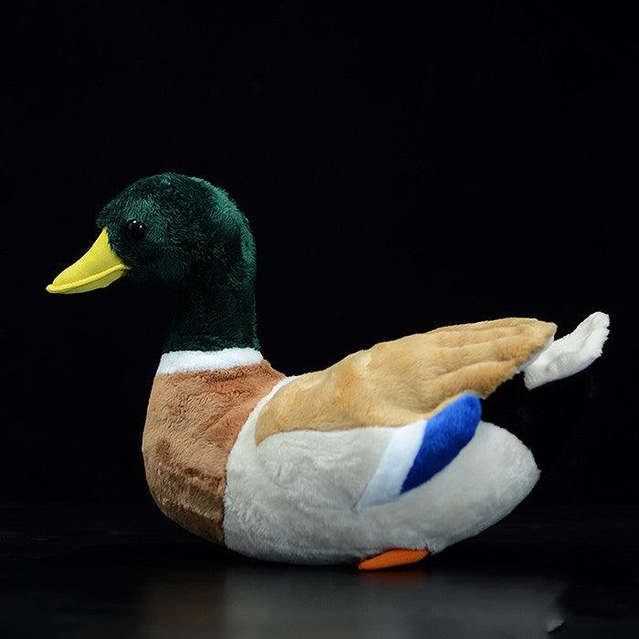 peluche-Anatra-Verde