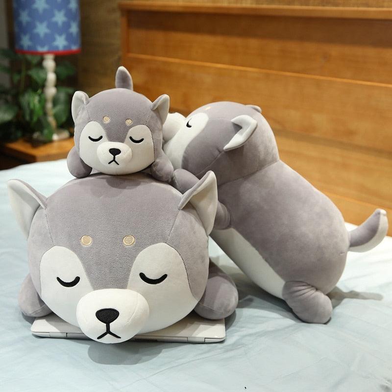 peluche-Cane-husky