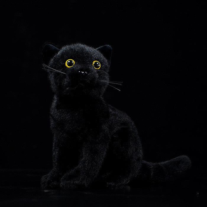 peluche-Gatto-Nero